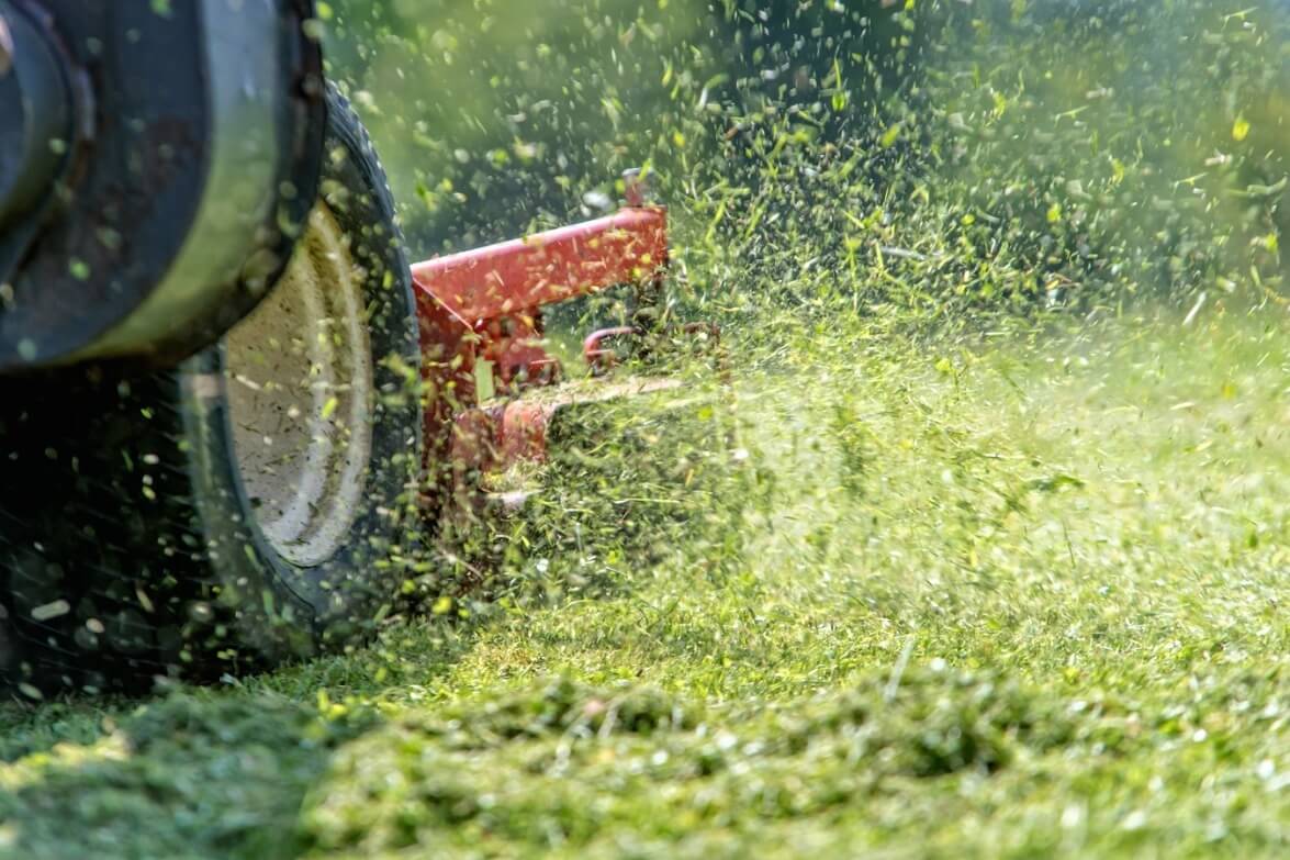 Using a Mower to Take Care of Your Lawn